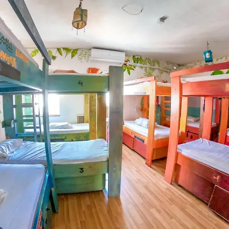 Malti Budget Hostel *