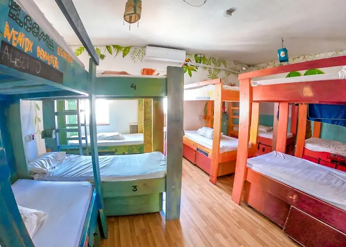 Malti Budget Hostel *